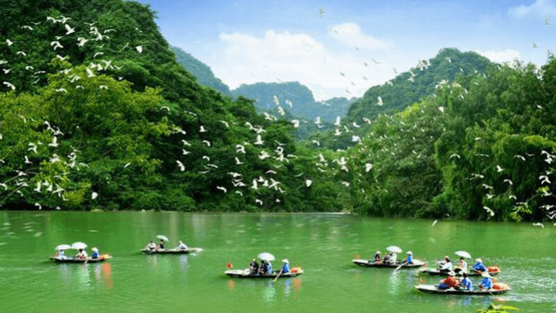 Khám Phá Thiên Nhiên Giữa Lòng Thành Phố Tại Vườn Cò Thủ Đức