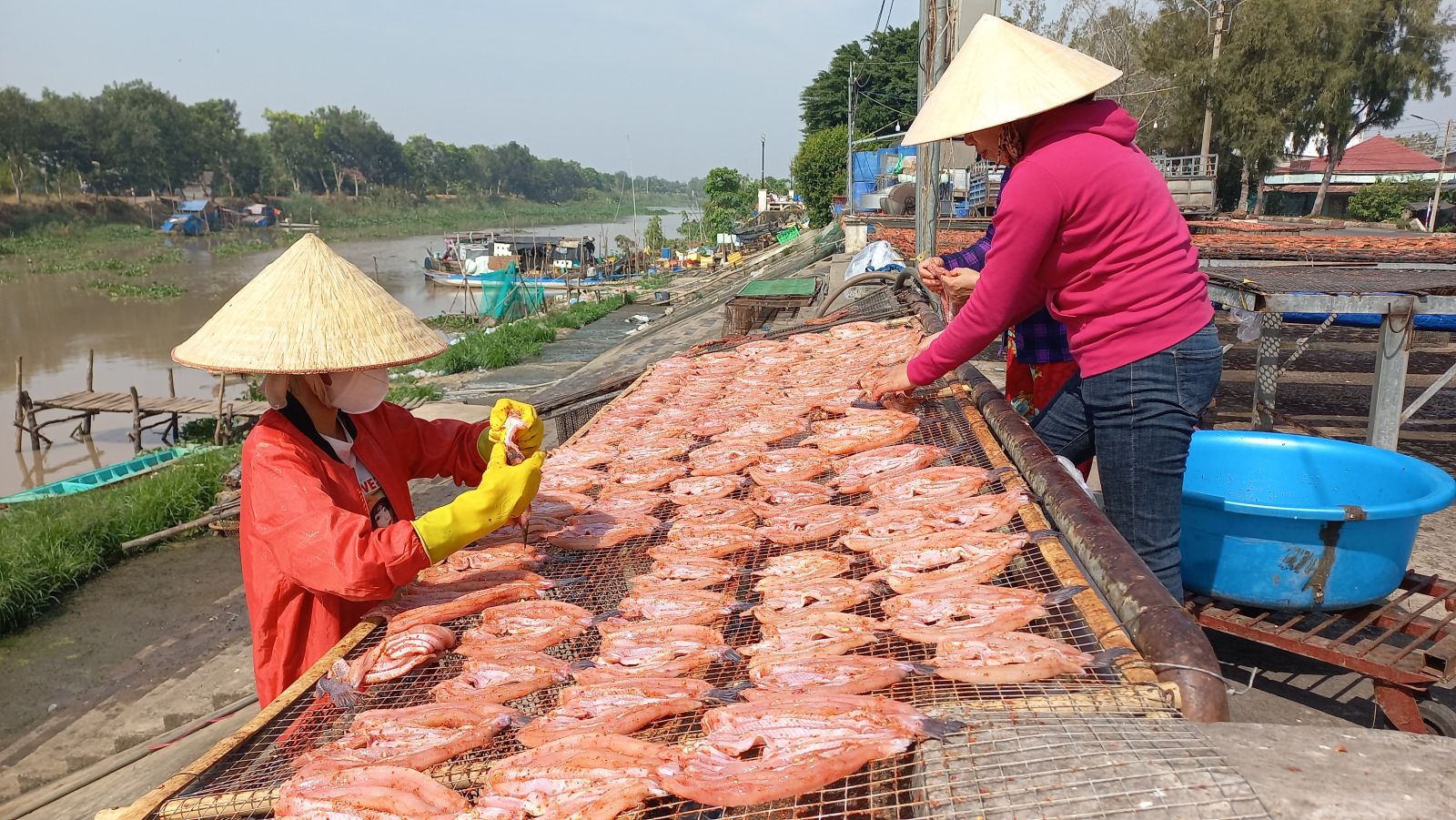 Giá khô cá ở Long An tăng mạnh, loại khô cá nào bán đắt nhất?