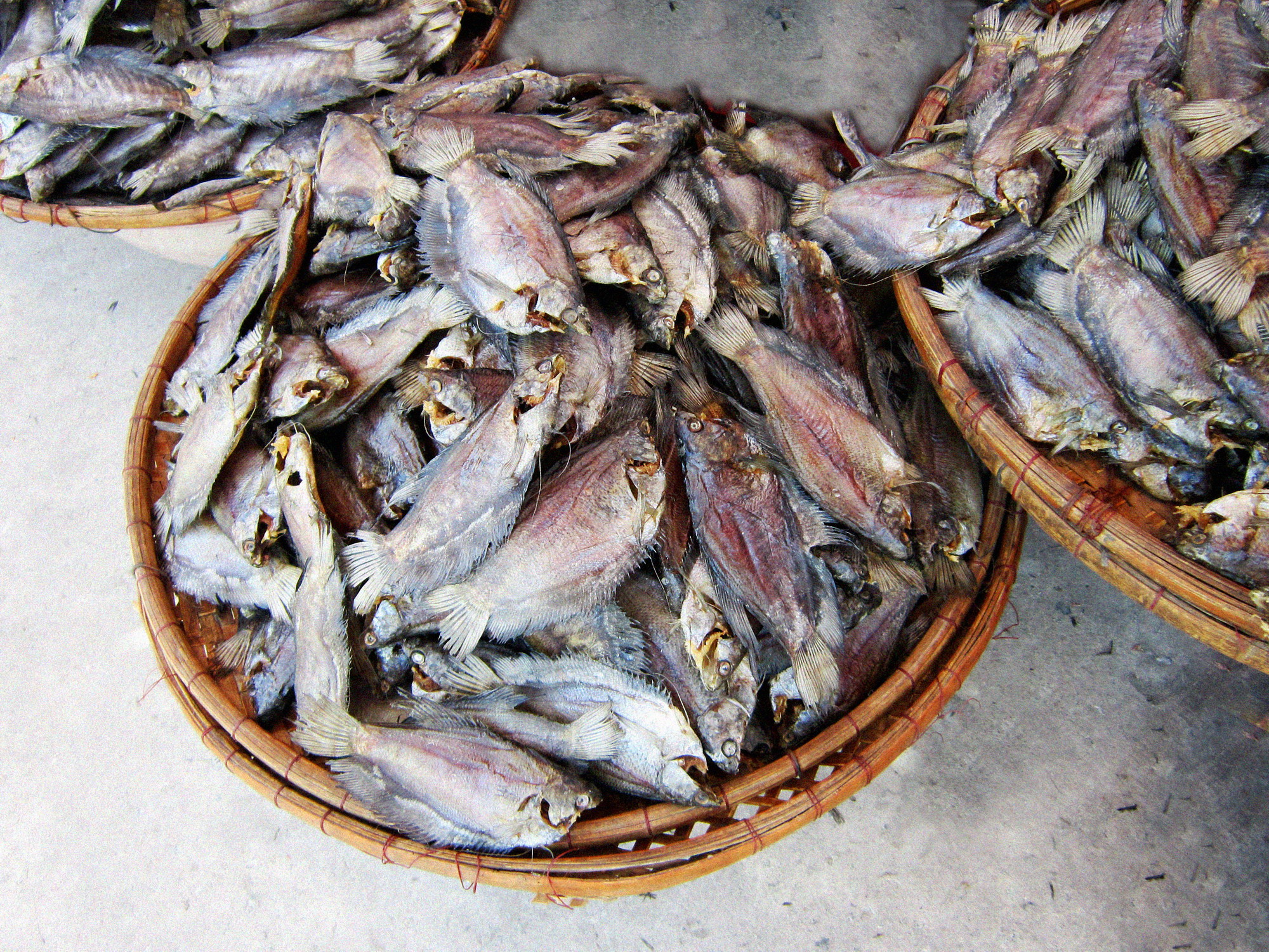 Tập tin:Khô cá sặc rằn.jpg – Wikipedia tiếng Việt