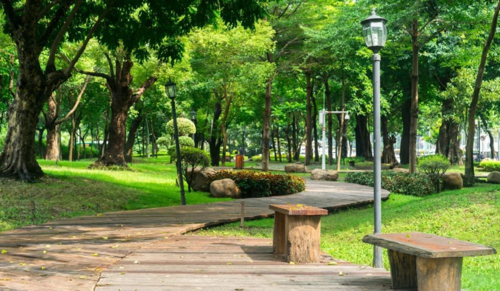 Bỏ túi kinh nghiệm khám phá công viên Bình Phú từ A-Z | Xanh SM