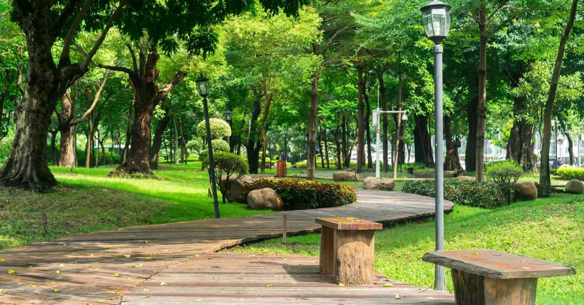 Ngắm cảnh và chơi thể thao tại công viên Tao Đàn, Sài Gòn